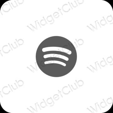 Esthetische Spotify app-pictogrammen