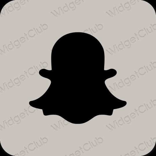 Estético bege snapchat ícones de aplicativos