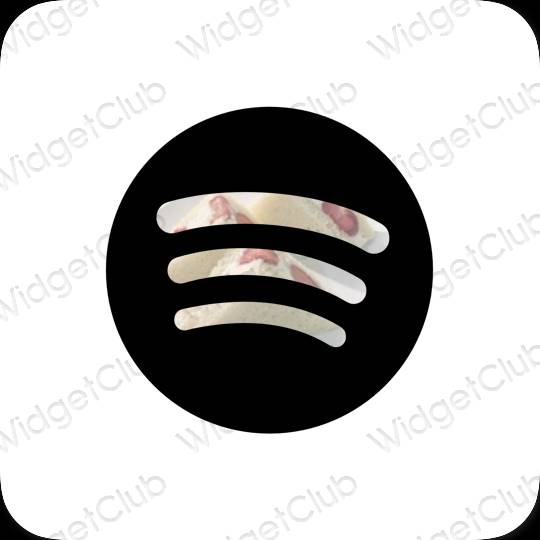 美学Spotify 应用程序图标