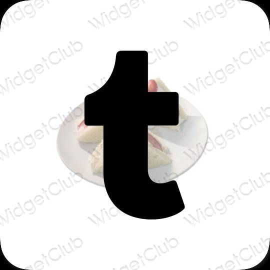 រូបតំណាងកម្មវិធី Tumblr សោភ័ណភាព