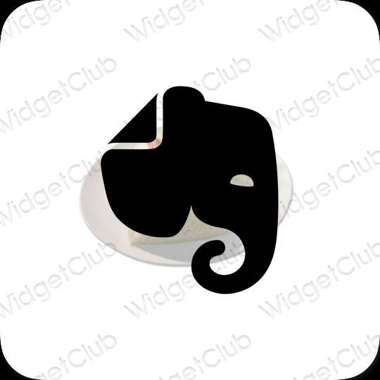 រូបតំណាងកម្មវិធី Evernote សោភ័ណភាព