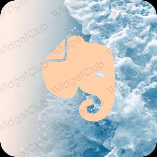 សោភ័ណ ទឹកក្រូច Evernote រូបតំណាងកម្មវិធី