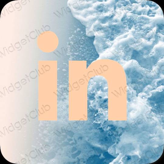 Естетски наранџаста Linkedin иконе апликација