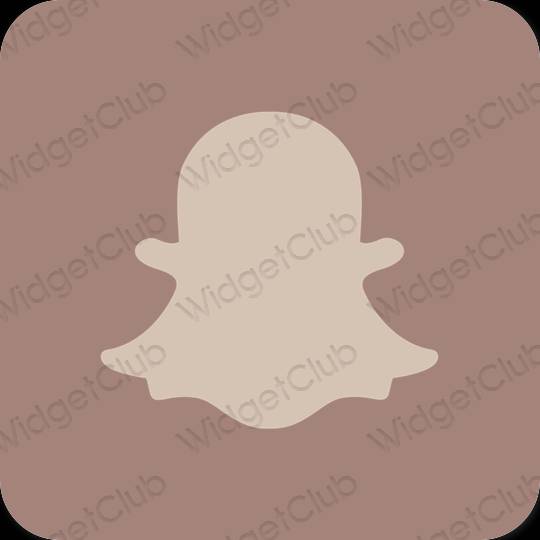 미적인 갈색 snapchat 앱 아이콘