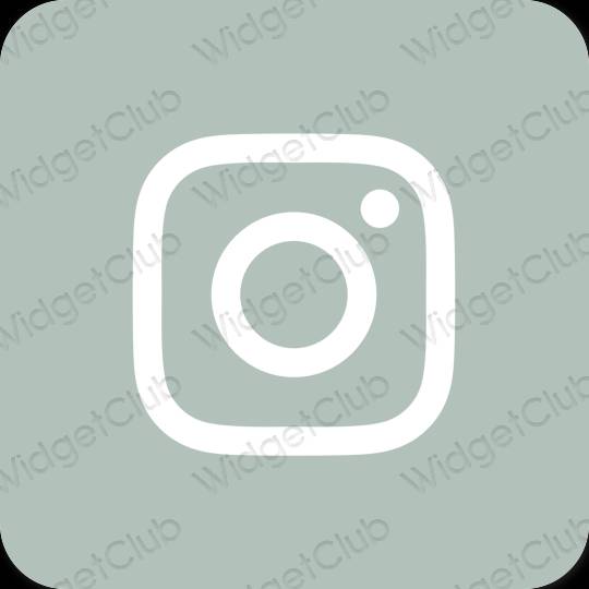 Естетичен зелено Instagram икони на приложения