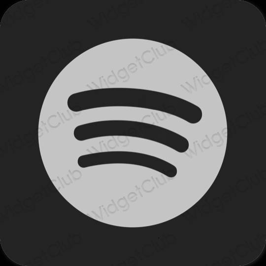 Esthetische Spotify app-pictogrammen