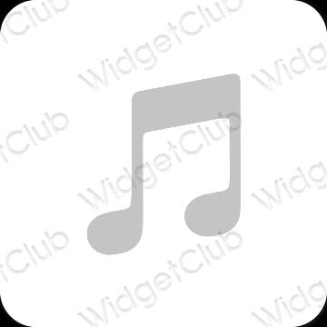 Esthetische Apple Music app-pictogrammen