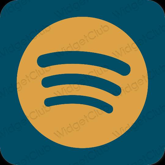 Esthetische Spotify app-pictogrammen