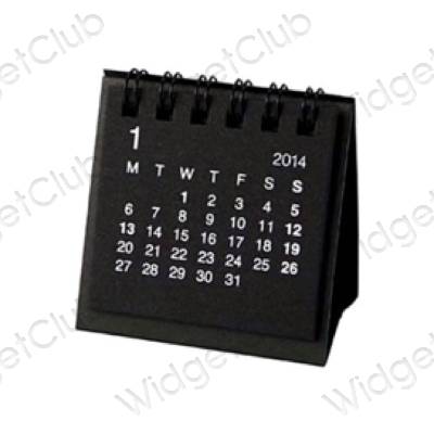 Biểu tượng ứng dụng Calendar thẩm mỹ