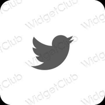 Icônes d'application Twitter esthétiques