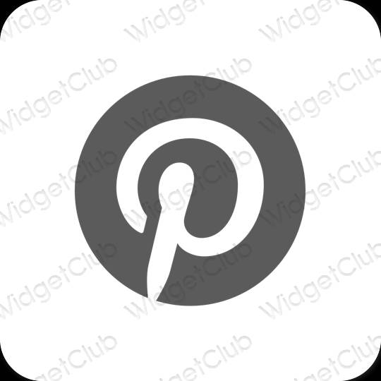 Icone delle app Pinterest estetiche