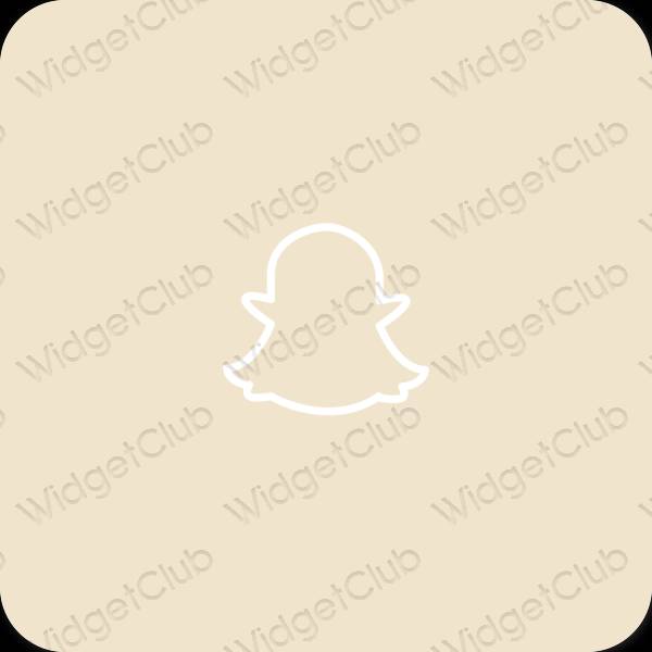 Estetic bej snapchat pictogramele aplicației