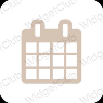 Icônes d'application Calendar esthétiques