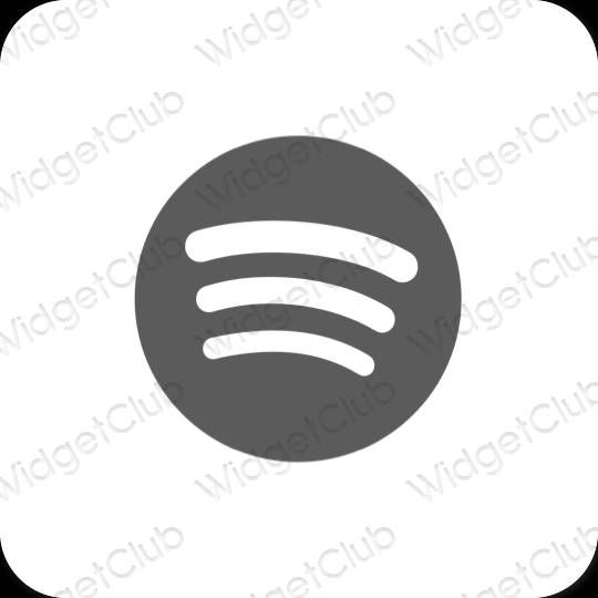 Esthetische Spotify app-pictogrammen