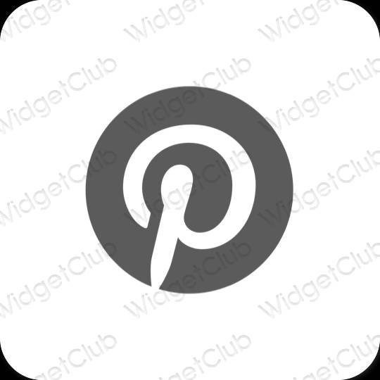 Esthetische Pinterest app-pictogrammen