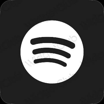 Aesthetic Spotify app icons