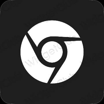 美学Chrome 应用程序图标