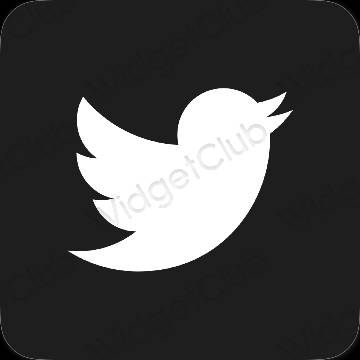 美学Twitter 应用程序图标