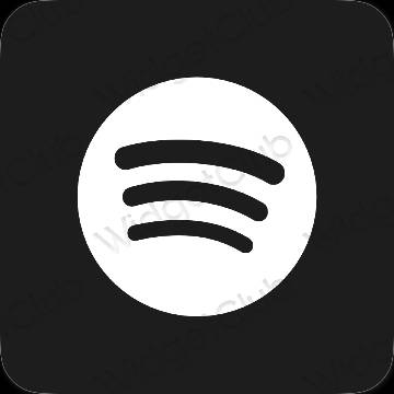 Aesthetic Spotify app icons