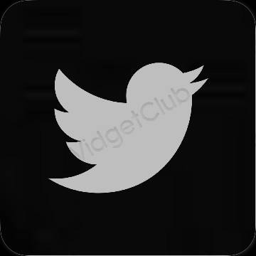 រូបតំណាងកម្មវិធី Twitter សោភ័ណភាព