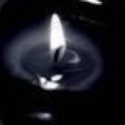 サファリ おしゃれアイコン画像素材