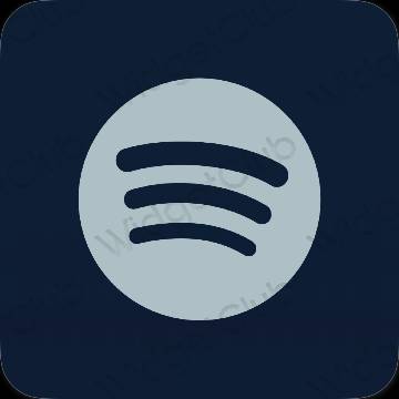 Aesthetic Spotify app icons