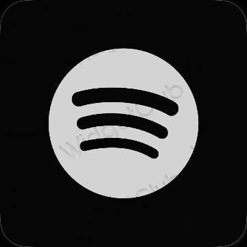 Aesthetic Spotify app icons
