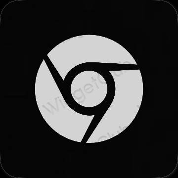 美学Chrome 应用程序图标
