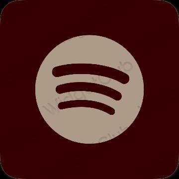 Aesthetic Spotify app icons