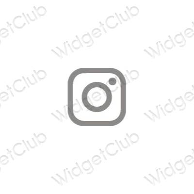 美学Instagram 应用程序图标