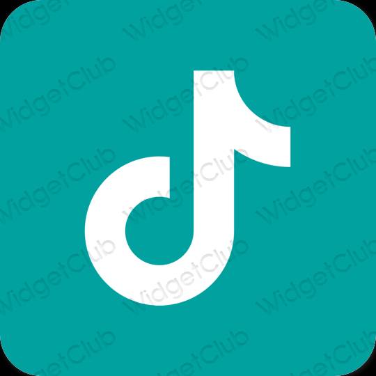 Estetisk blå TikTok app ikoner