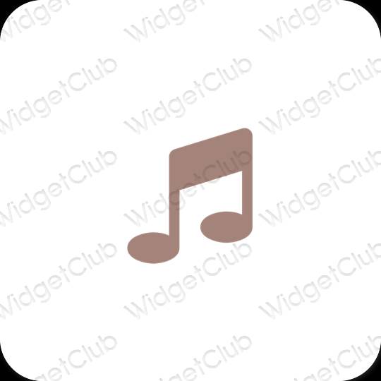 Esthetische Apple Music app-pictogrammen