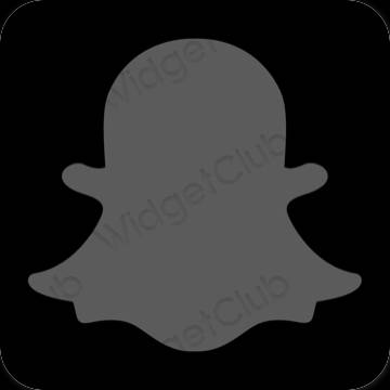 Естетичний сірий snapchat значки програм