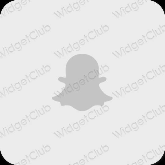 Aesthetic gray snapchat app icons