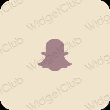 Estetyka beżowy snapchat ikony aplikacji