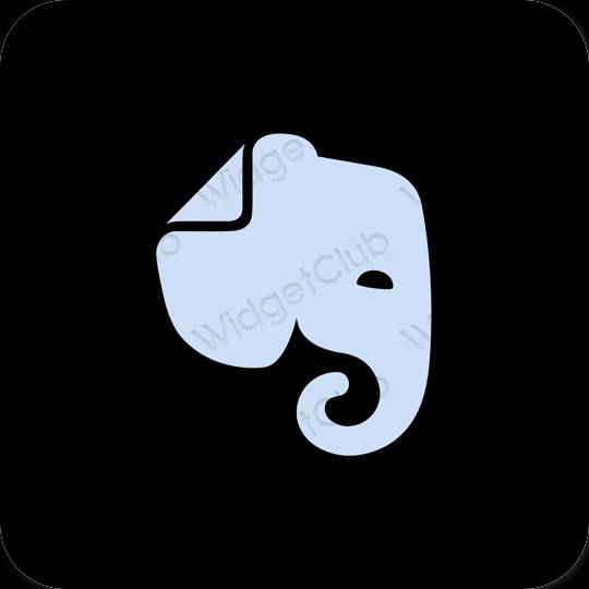 Ästhetisch Schwarz Evernote App-Symbole