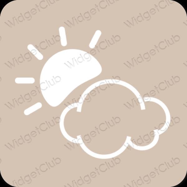 Estético beige Weather iconos de aplicaciones