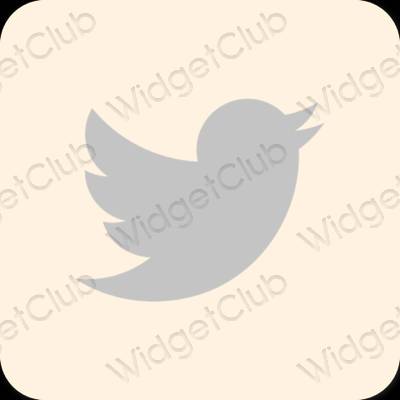 Estético beige Twitter iconos de aplicaciones