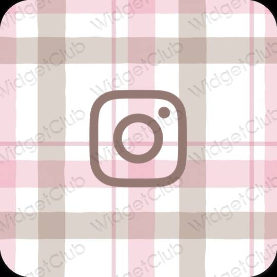 Biểu tượng ứng dụng Instagram thẩm mỹ