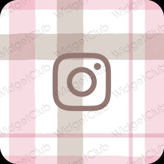 Biểu tượng ứng dụng Instagram thẩm mỹ