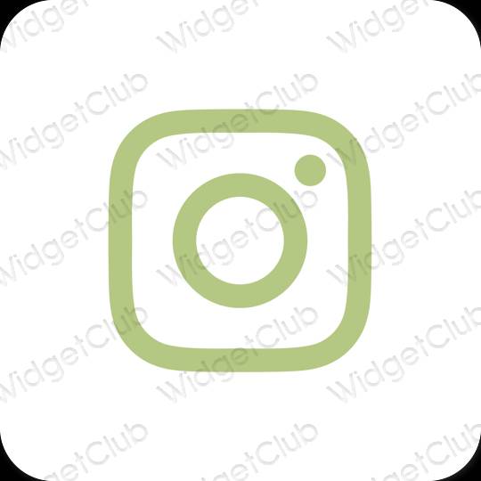 Æstetiske Instagram app-ikoner