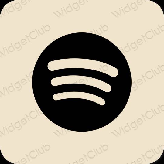 эстетический бежевый Spotify значки приложений
