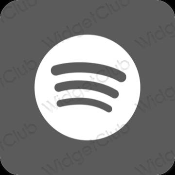 Icônes d'application Spotify esthétiques