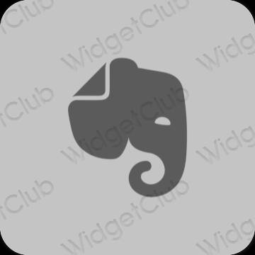 Aesthetic gray Evernote app icons