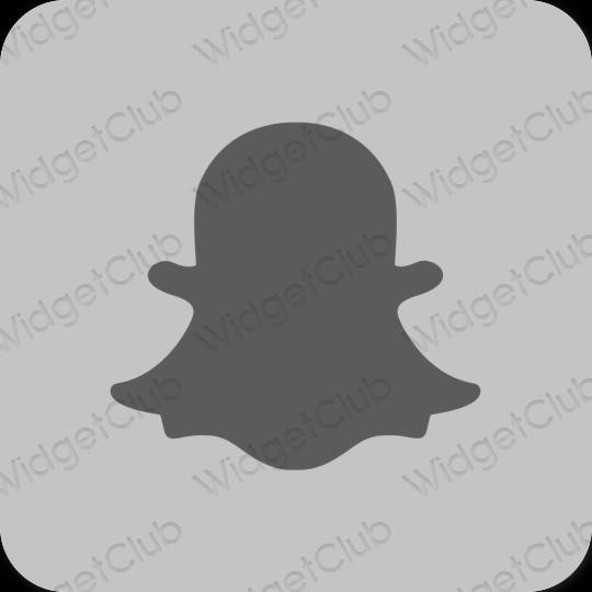 审美的 灰色的 snapchat 应用程序图标