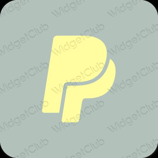 미적 Paypal 앱 아이콘