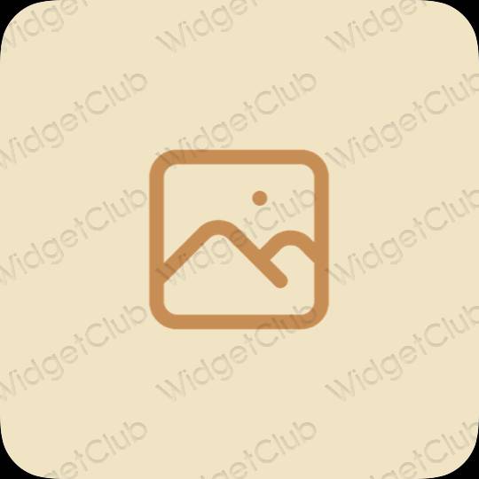 Aesthetic beige Photos app icons