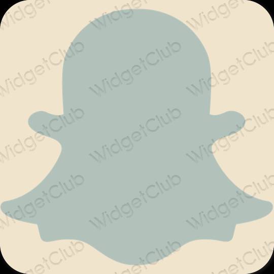 Esthétique vert snapchat icônes d'application