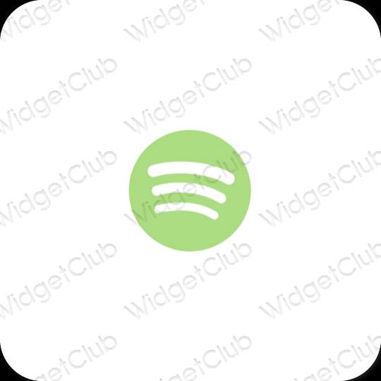 Esthetische Spotify app-pictogrammen