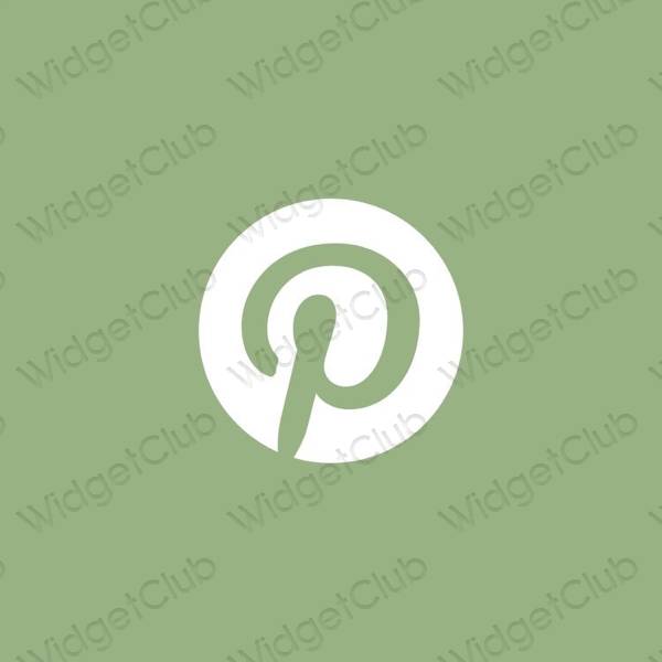 Ikon aplikasi estetika Pinterest